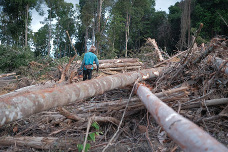 Kuantan, Malaysia - August 11th, 2022 : A lumberjack working without safely equipment protection  in Kuantan.のeditorial素材