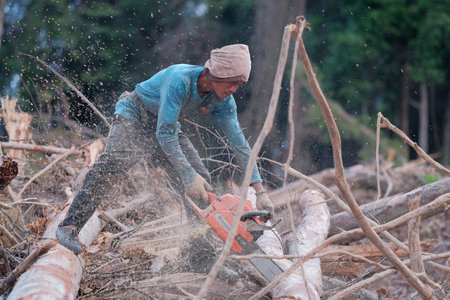 Kuantan, Malaysia - August 11th, 2022 : A lumberjack working without safely equipment protection  in Kuantan.のeditorial素材