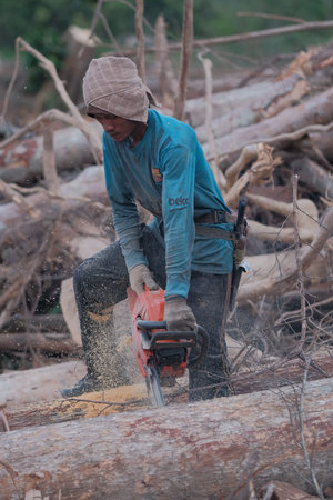 Kuantan, Malaysia - August 11th, 2022 : A lumberjack working without safely equipment protection  in...