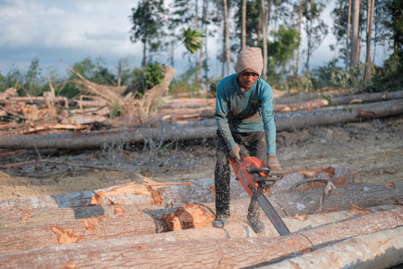 Kuantan, Malaysia - August 11th, 2022 : A lumberjack working without safely equipment protection  in Kuantan.のeditorial素材