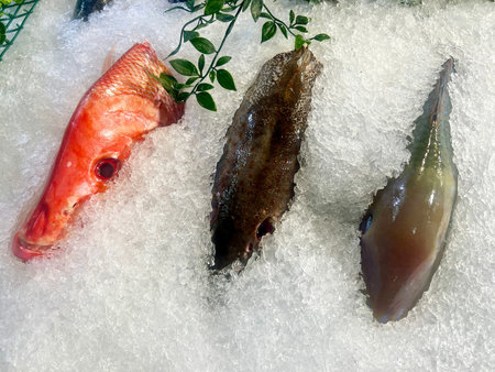 Fresh fish on ice in a fish market. Seafood and healthy eating concept.