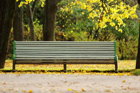 Wooden bench in Autumn Parkの写真素材