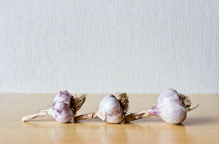 Fresh Garlicの写真素材