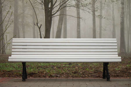 Bench in the park. Morning fogの写真素材