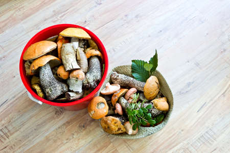 Fresh mushroomsの写真素材