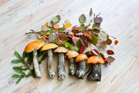 Fresh forest mushrooms with autumn leaves at wooden backgroundの写真素材