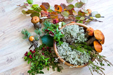Autumn composition: red cep mushrooms with white moss in wooden bowl, pine branch, colorful leaves, cranberriesの写真素材
