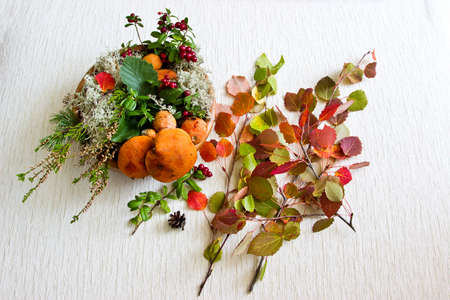 Autumn composition: red cep mushrooms with white moss, pine branch, colorful leaves, cranberries in wooden bowl at white linen backgroundの写真素材