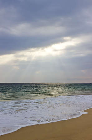 Sandy tropical beach at sunset before storm. Sri Lanka, Ceylon. Vertical imageの写真素材