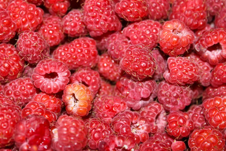 Fresh ripe raspberry