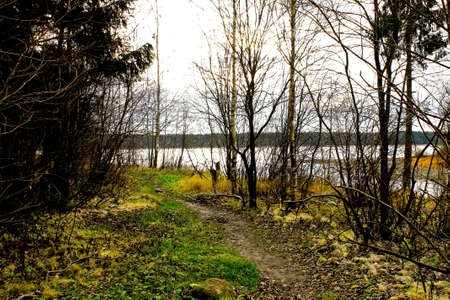 Autumn landscapeの写真素材