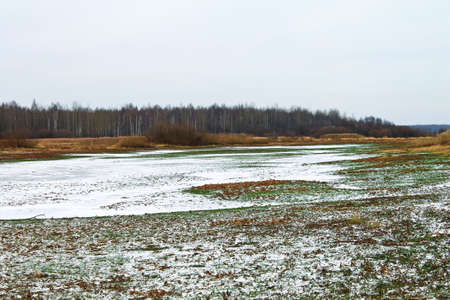 The picturesque landscape of the freezing river and dry grass on snowy shore on a sunny day in early winterの写真素材