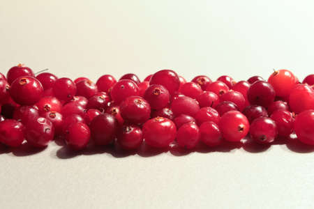 Red ripe cranberriesの写真素材