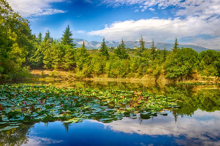 Beautiful colorful landscapeの写真素材