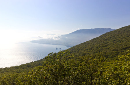 Foggy seascape with mountain coastlineの写真素材