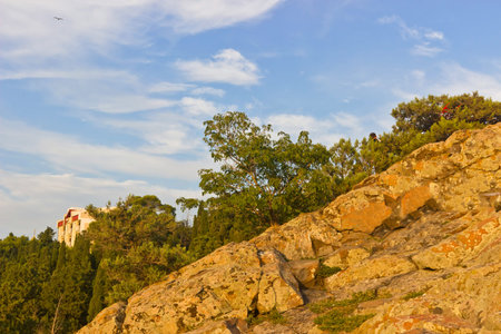 mountain landscape