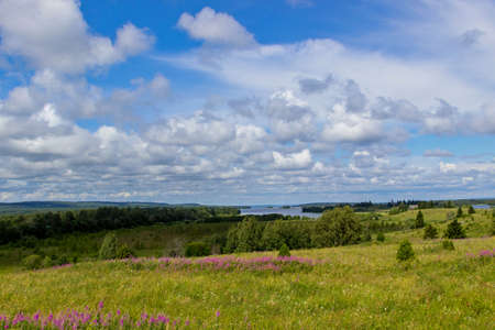 summer rural landscapeの写真素材