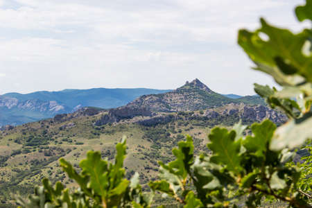 Crimean mountain landscape. View from Karadag volcano through oak leavesの写真素材