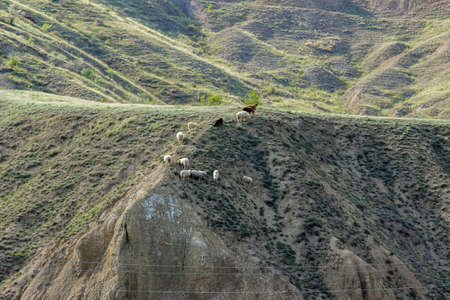 Ships on hillsideの写真素材