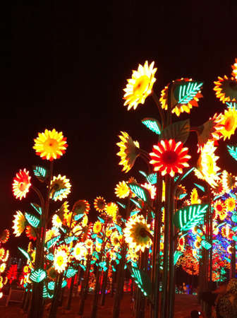 Electrics Flower at ICT, Shah Alamの素材