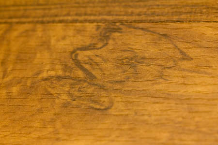 close up wooden flooring background IIの写真素材