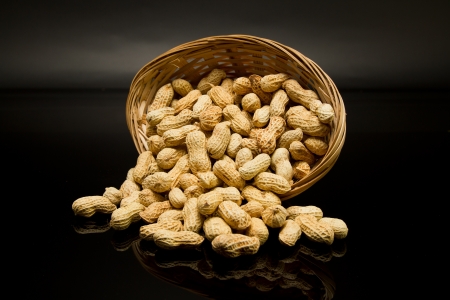 Groundnut And Mirror Imageの写真素材