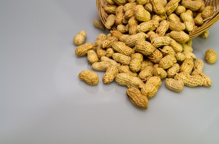 Peanut on Bluish Grey Surfaceの写真素材