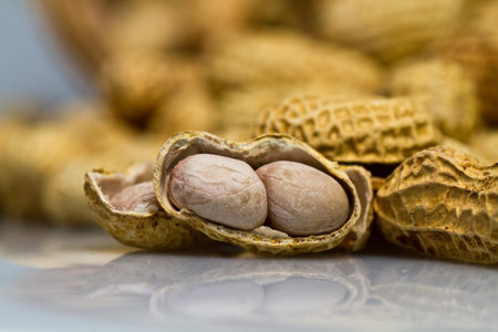 Opened Peanut Closeup