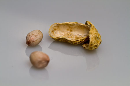 Nuts Leaving The Shell