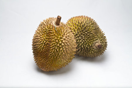 Two unopened whole durians isolated on white surface