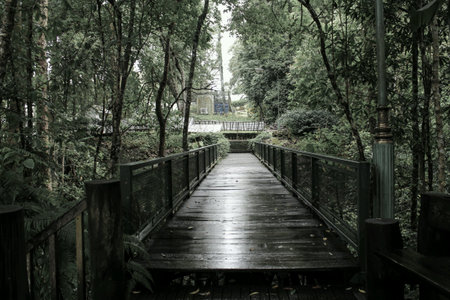 Lonely walk