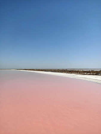 pink rose lake with salt and mad under blue skyの写真素材