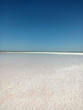 pink rose lake with salt and mad under blue skyの写真素材