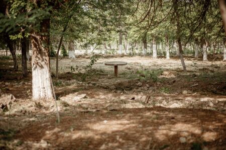 old abandoned table in the Parkの写真素材
