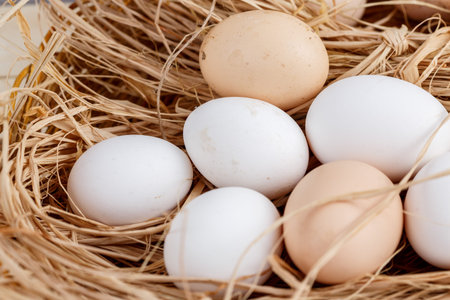 raw eggs in the hay on a wooden background