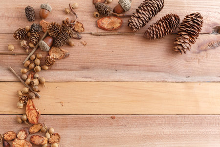 autumn background. cones,acorns and pieces of wood on a wooden background. the view from the top.
