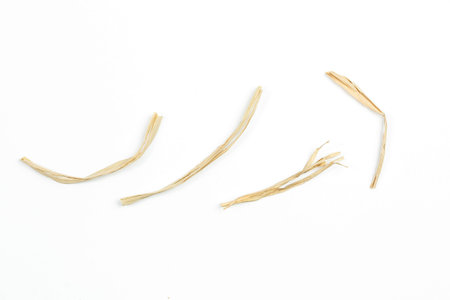 stick pieces on white isolated background