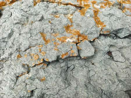 gray stone wall texture with cracks backgroundの写真素材
