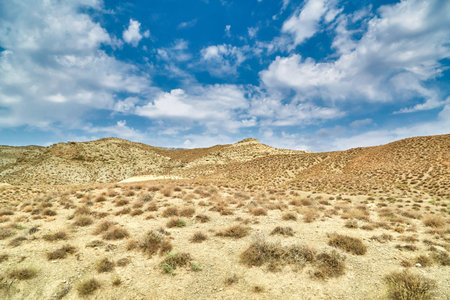 sandy surface in the mountains of Asia without rain sandy surface and dried plants.
