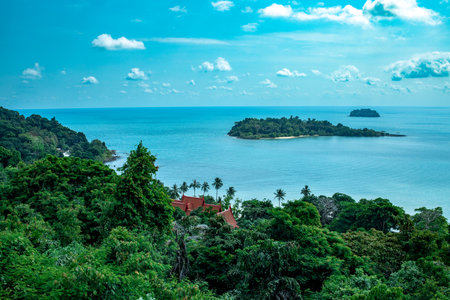 view of the sea from above. beautiful ocean. ship. summer. tree crownsの写真素材