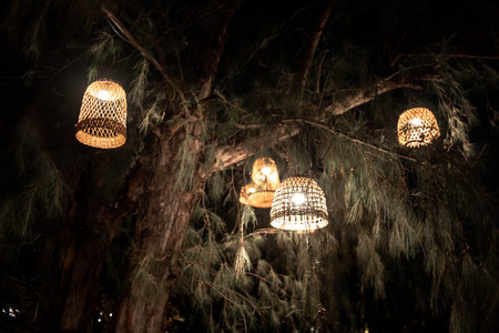 lamps on a tree. beautiful lampshades. in the trees. night,beach
