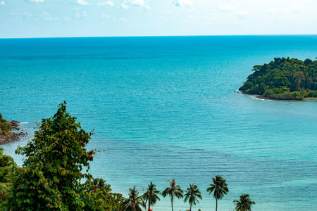 view of the sea from above. beautiful ocean. ship. summer. tree crownsの写真素材