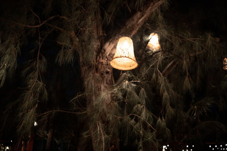 lamps on a tree. beautiful lampshades. in the trees. night,beachの写真素材