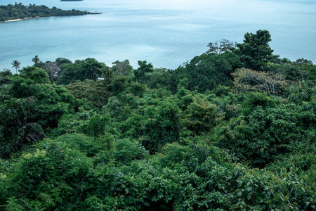 view of the sea from above. beautiful ocean. ship. summer. tree crownsの写真素材