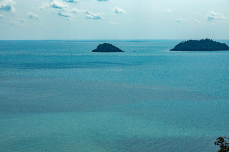view of the sea from above. beautiful ocean. ship. summer. tree crowns