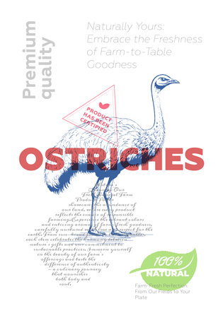 Poultry shop advertising poster with vintage ostrich sketch. Butchery market retro print. Butcher label creative typography template. Natural farm meat product placard engraved hand drawn eps artworkのイラスト素材