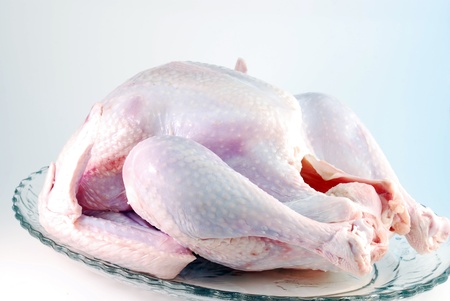 turkeyの写真素材