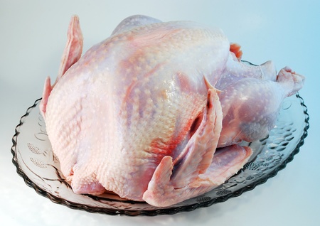 turkeyの写真素材