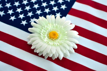 American flag and flower on a white background.の写真素材