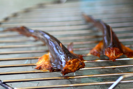 Juicy fresh smoked catfish in a smokehouse.の写真素材